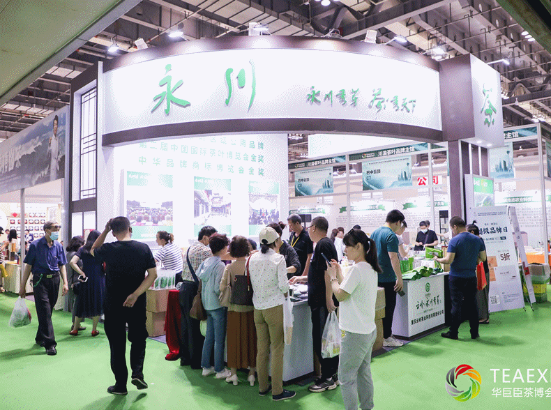 有关于一周热门:春茶开采动态、兴海盛世展风华、茶包装产业博览会的信息(11)