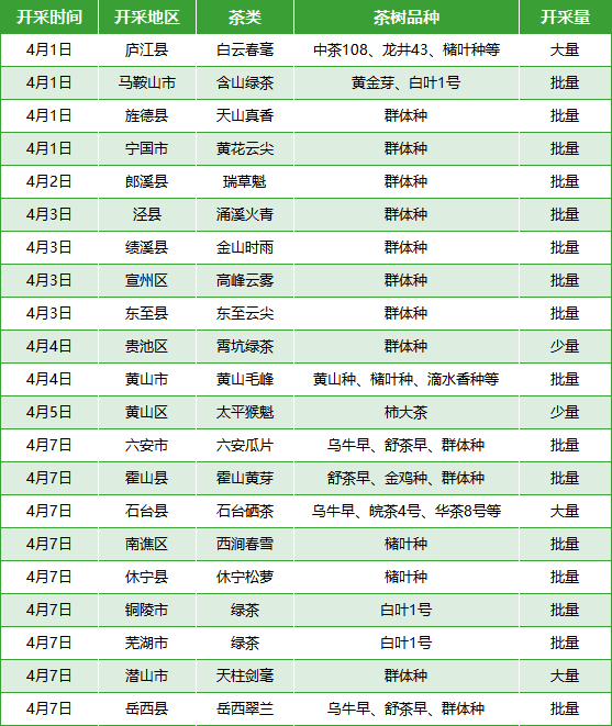 有关于安徽省春茶开采动态发布(第四期)的新闻(1)