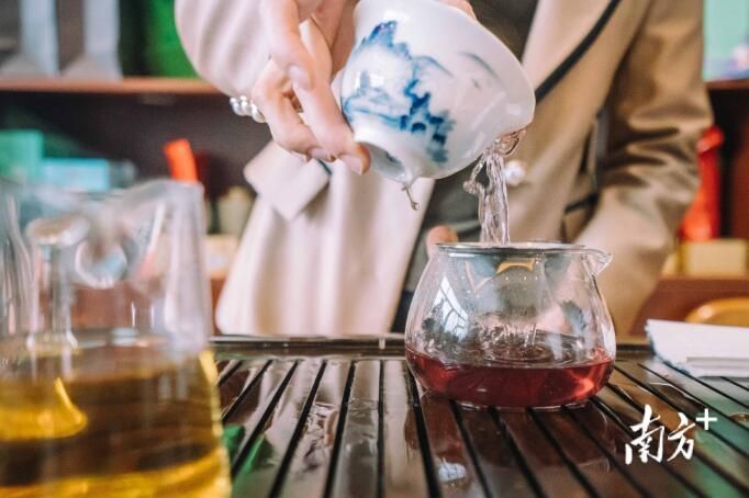 关于柏塘茶香醉春色,茶叶小镇振兴忙的相关内容(3)