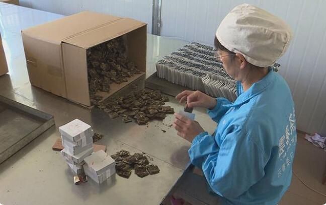 关于普洱景谷:深耕白茶产业 助推乡村振兴的信息(2)