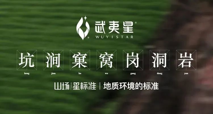 关于茶界“种子工程”再上新台阶,行业迎来新“福星”的信息(11)