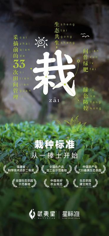 关于茶界“种子工程”再上新台阶,行业迎来新“福星”的信息(3)