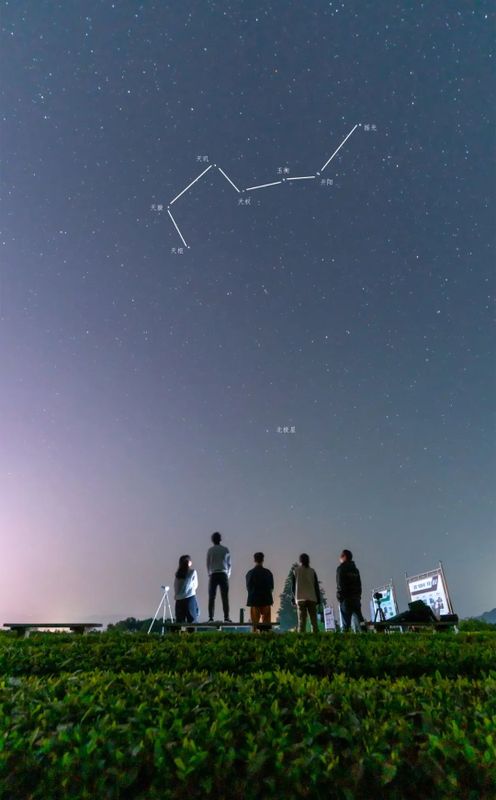 关于来湄潭茶园,邂逅一场专属春季夜空的浪漫!的相关内容(7)