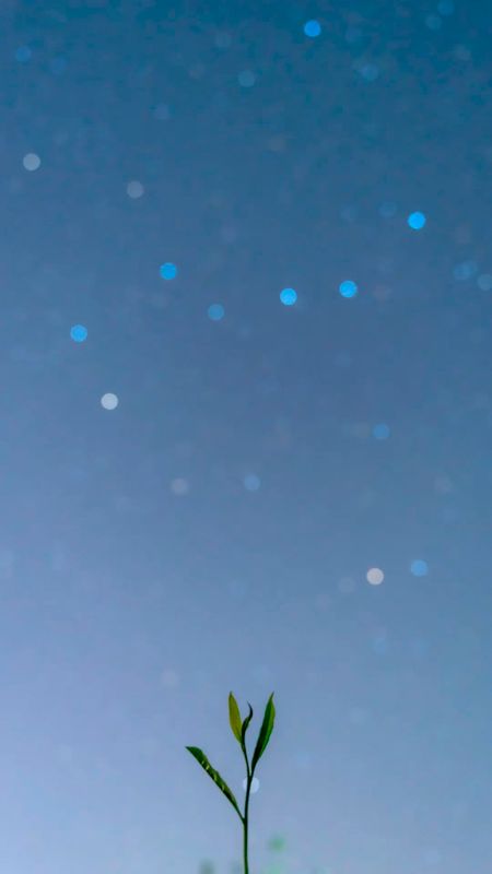 关于来湄潭茶园,邂逅一场专属春季夜空的浪漫!的相关内容(2)