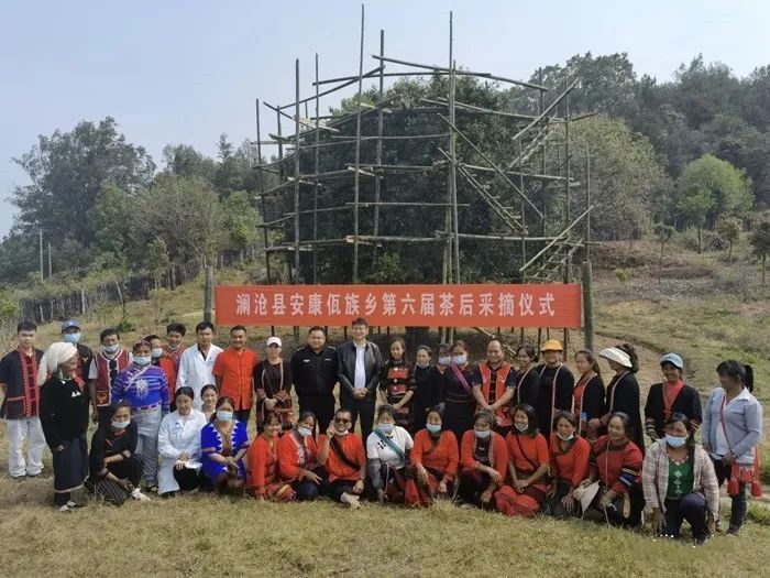 有关于澜沧县安康乡糯波村举办第六届千年“茶后”采摘仪式的最新消息