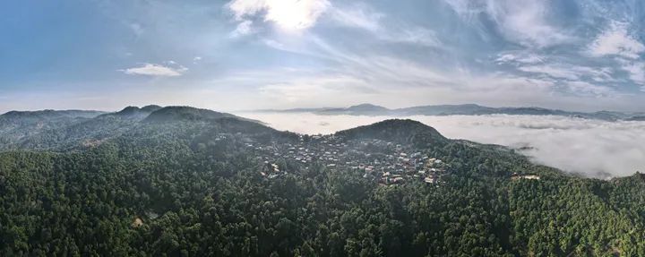 有关于一片叶 一座山 引领普洱茶旅融合渐入佳境:普洱市茶产业发展的新探索新路径(5)的信息(2)
