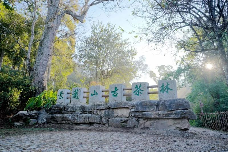 有关于一片叶 一座山 引领普洱茶旅融合渐入佳境:普洱市茶产业发展的新探索新路径(5)的信息(1)