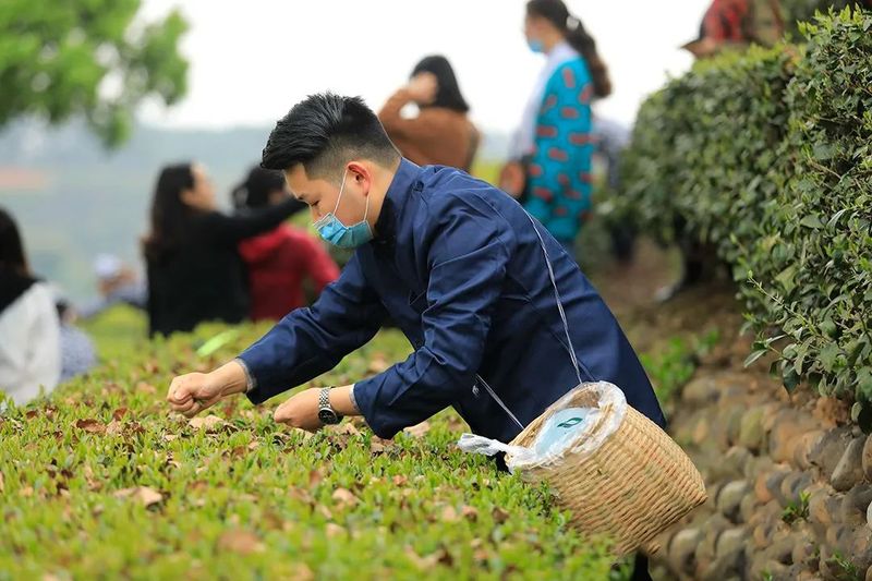有关于百条红色茶乡旅游精品路线,四川夹江:遗产揽胜·天福品茗的相关信息(3)