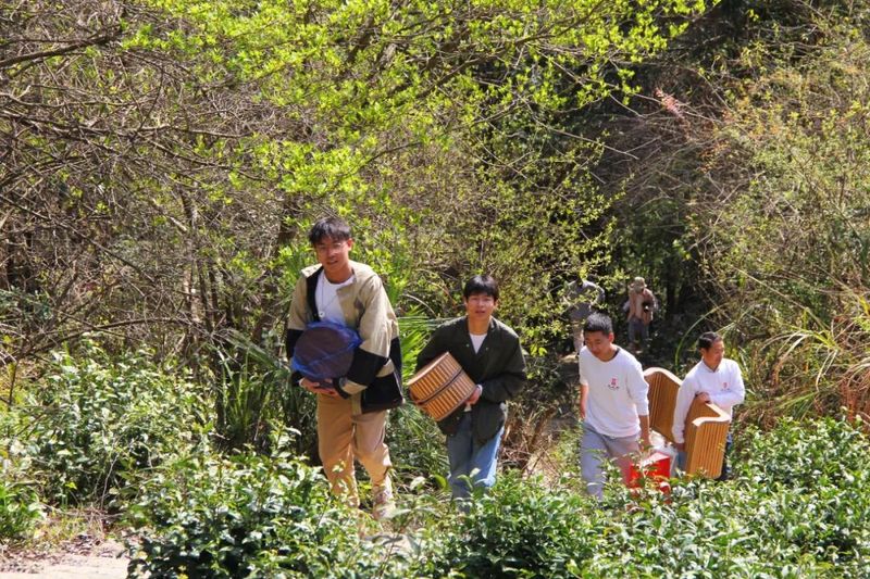 关于茗享·2022王光熙松萝茶第四届春茶节开幕的最新消息(4)