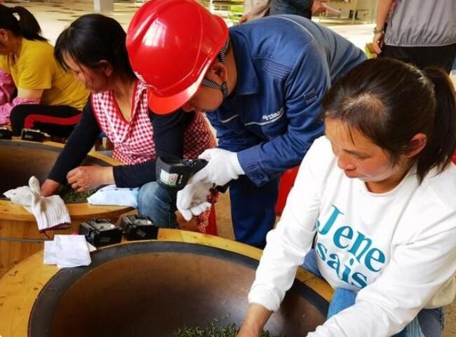 关于荔波县梅桃村：电力贴心服务 田间春茶飘香的消息(2)