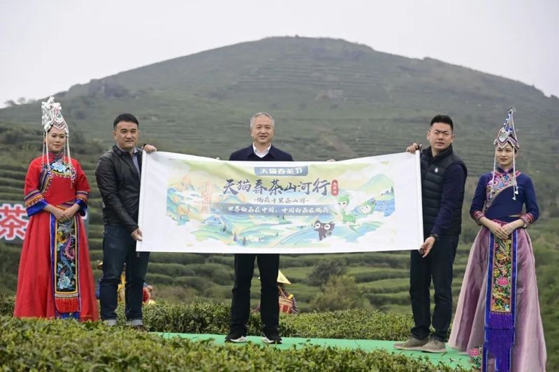 关于第十一届福鼎白茶开茶节，今天“云”开茶！的内容(10)