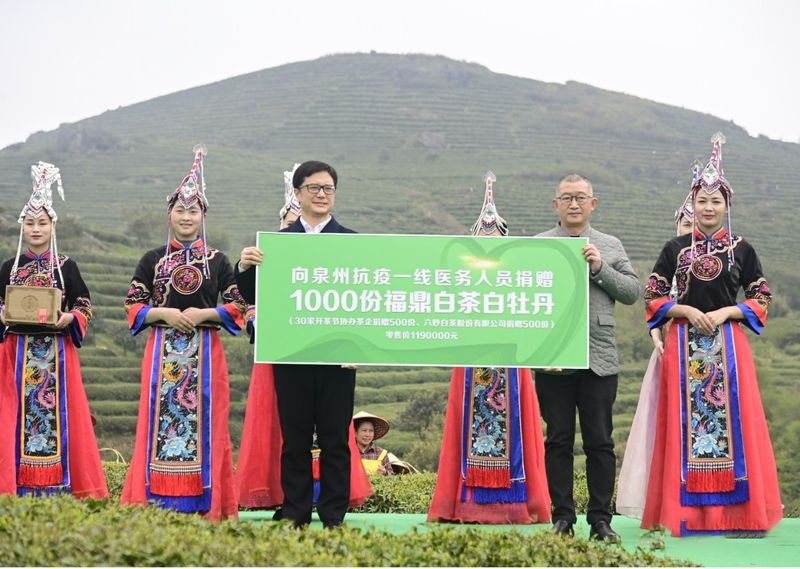 关于第十一届福鼎白茶开茶节，今天“云”开茶！的内容(6)