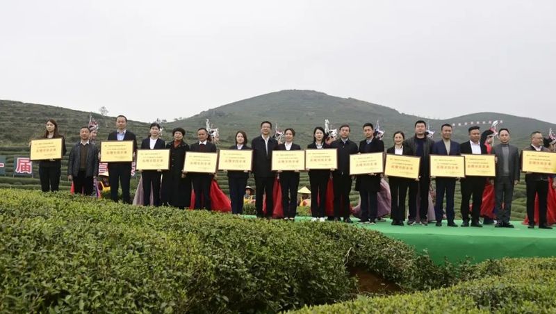 关于第十一届福鼎白茶开茶节，今天“云”开茶！的内容(13)