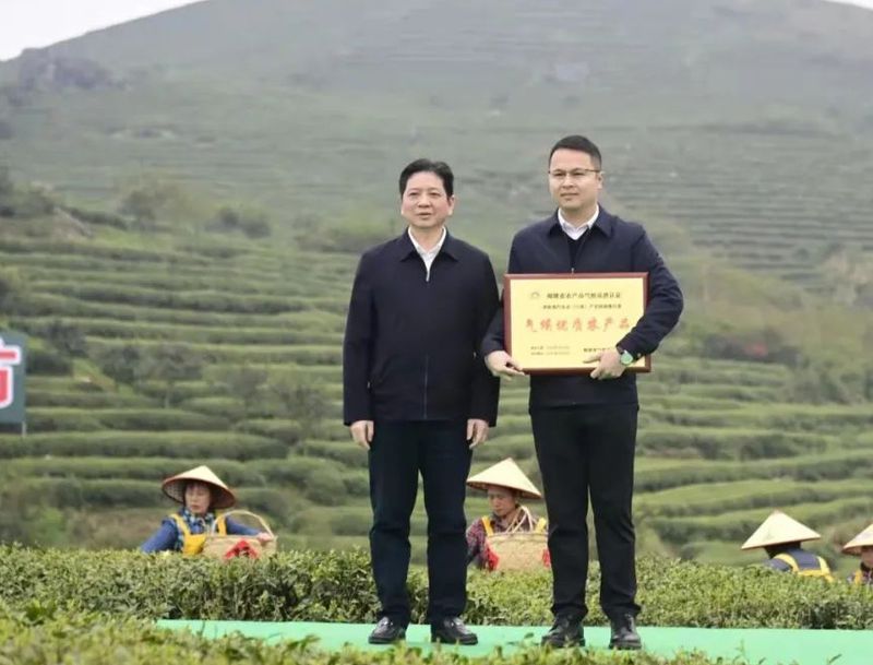关于第十一届福鼎白茶开茶节，今天“云”开茶！的内容(12)