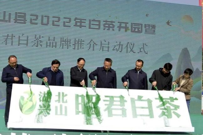 有关于湖北兴山：2022年万亩白茶抢“鲜”开园的消息
