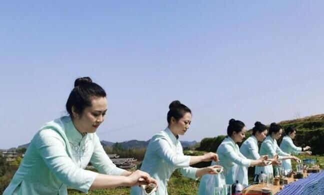 关于泸溪县:茶香四溢满园开的最新消息(3)