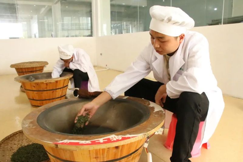 有关于印江:春茶满园香 产销忙不停的最新消息(7)