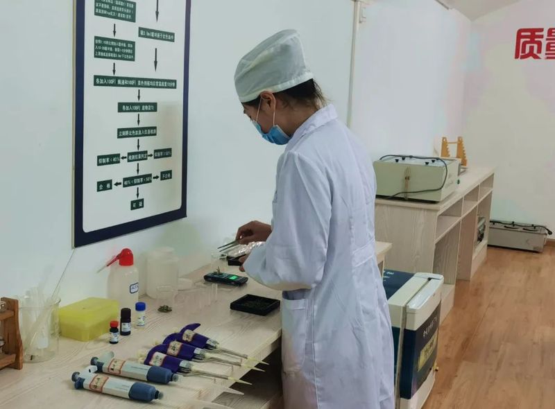 关于湄潭:春茶熏袖正堪尝,幽香不绝春味长的资讯(2)