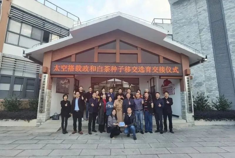 关于“三茶统筹”理念提出一周年,茶行业都发生了哪些巨变?的新闻(14)