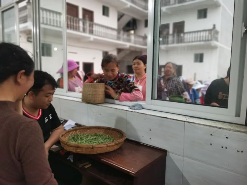 关于严守干净黔茶底线!春茶安全生产指导服务组前往大塘镇服务春茶生产的相关信息(2)