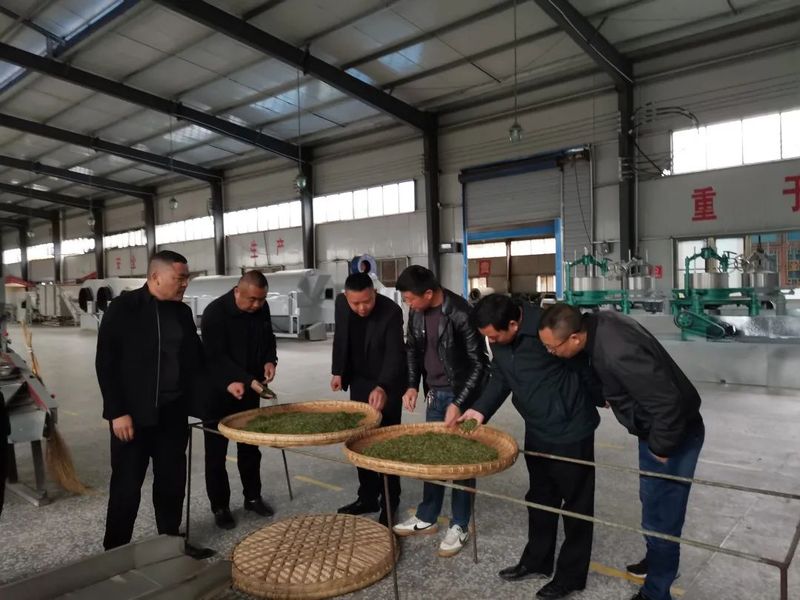 关于加强春茶技术服务指导 印江自治县开展茶叶行业安全生产隐患排查的消息(3)