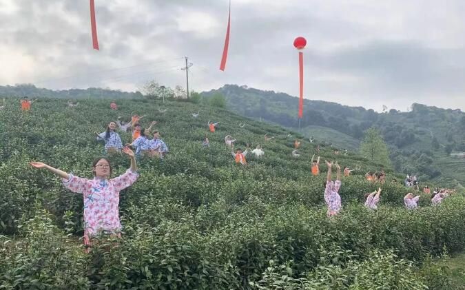 有关于四川达州:“喊山开茶文化节”开幕的新闻