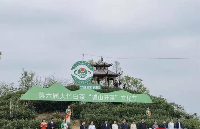 有关于四川达州:“喊山开茶文化节”开幕的新闻(1)