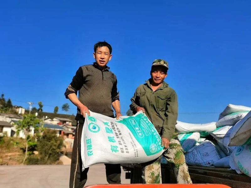 有关于普洱·茶视界:走稳“有机”路→普洱生态茶园里的香气密码!的信息(6)