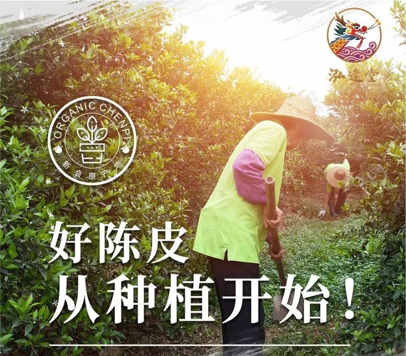 有关于泓达堂的内容(5)