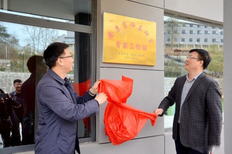 关于安康富硒茶研究专家工作站在汉滨区大竹园镇落户的资讯
