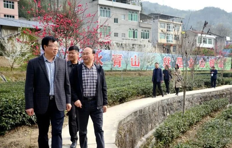 关于安康富硒茶研究专家工作站在汉滨区大竹园镇落户的资讯(3)