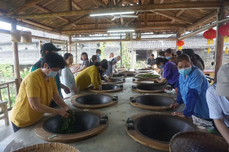 有关于苍梧县两新组织助力推动六堡茶产业发展的最新消息(1)