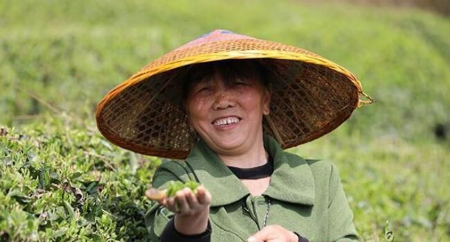 关于衡山县：“明前茶”香满山茶农茶事忙的新闻(1)