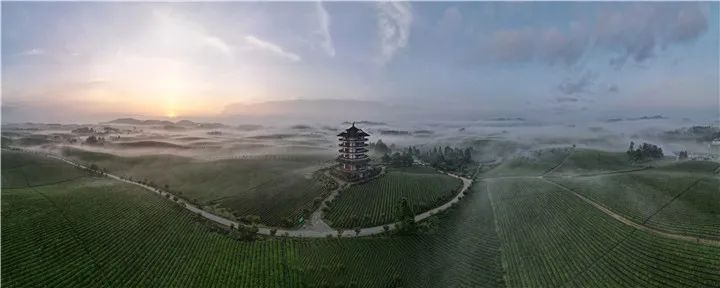 有关于乡村振兴 用“美”作答,湄潭县“三美五示范”打造最美乡村纪实的新闻(3)