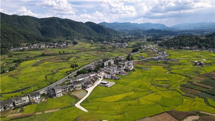 有关于乡村振兴 用“美”作答,湄潭县“三美五示范”打造最美乡村纪实的新闻(6)
