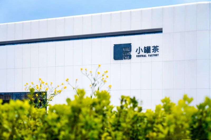 有关于“浙江三茶统筹发展高峰论坛”“聚焦茶产业发展”“茶界种子工程”的相关内容(4)