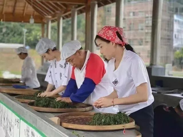 关于劳模＋工匠，创新发展模式，做大做强六堡茶产业的新闻