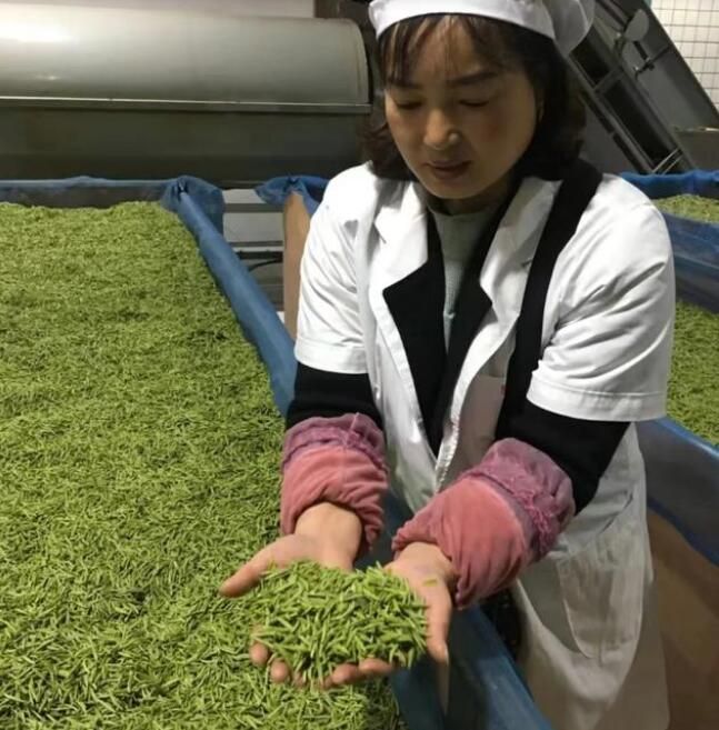 有关于云雾镇：春茶生产要借款 农信网点放贷忙的信息(1)