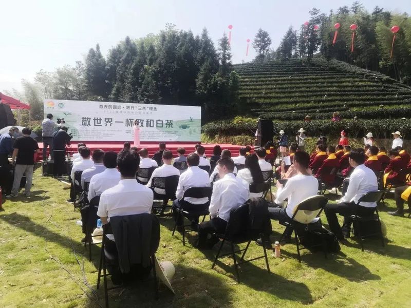 有关于“宋徽宗”惊现现场?政和县第四届政和白茶“云上”开茶节成功举办的相关内容(1)