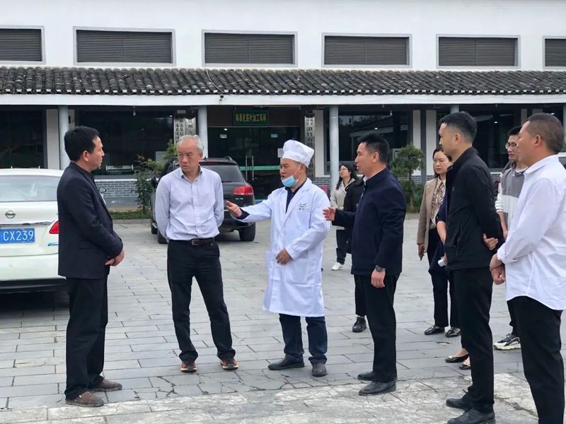 关于不负春光的干净茶——胡继承考察凤冈春茶生产情况的最新消息(6)