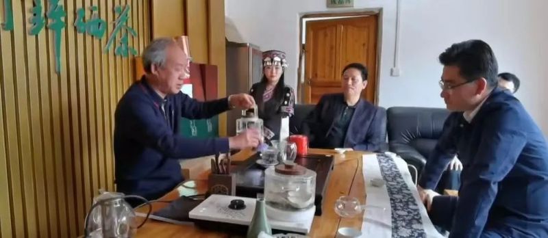关于不负春光的干净茶——胡继承考察凤冈春茶生产情况的最新消息(8)