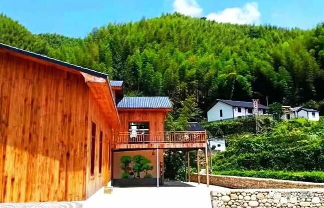 关于乐洞乡春茶采摘正当时　生态富民助振兴的相关信息(5)