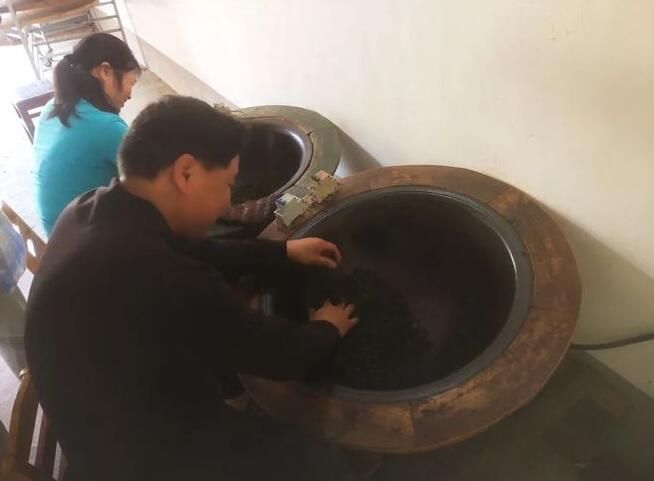 关于乐洞乡春茶采摘正当时　生态富民助振兴的相关信息