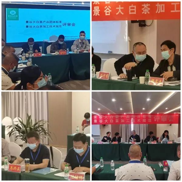 关于云南茶叶所专家到景谷县开展茶业科技服务,助推乡村振兴的内容