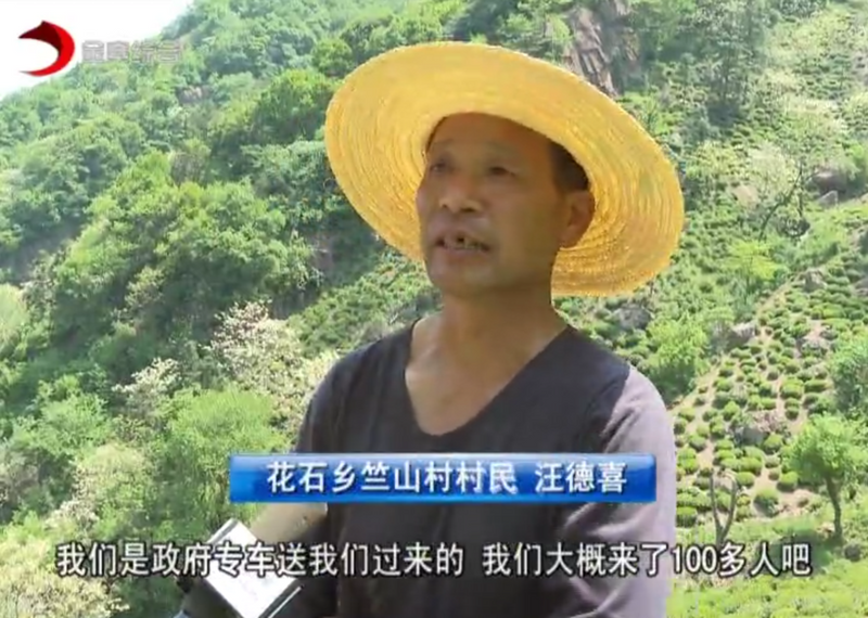 有关于当“春茶”遭遇疫情,金寨如何应对?的信息(3)