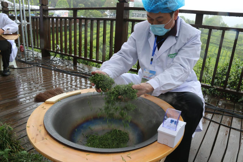 关于弘扬工匠精神,传承制茶工艺——宁强县举办首届手工制茶技能大赛的相关信息(2)