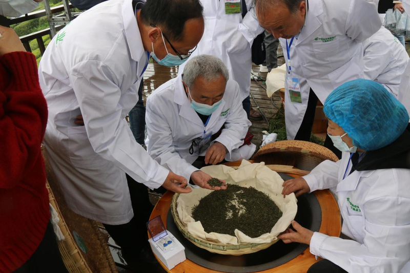 关于弘扬工匠精神,传承制茶工艺——宁强县举办首届手工制茶技能大赛的相关信息(3)