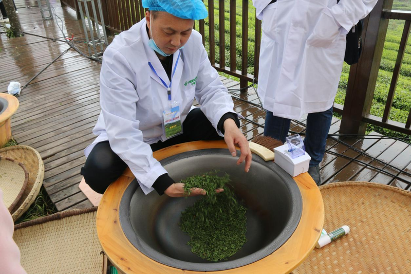 关于弘扬工匠精神,传承制茶工艺——宁强县举办首届手工制茶技能大赛的相关信息(1)