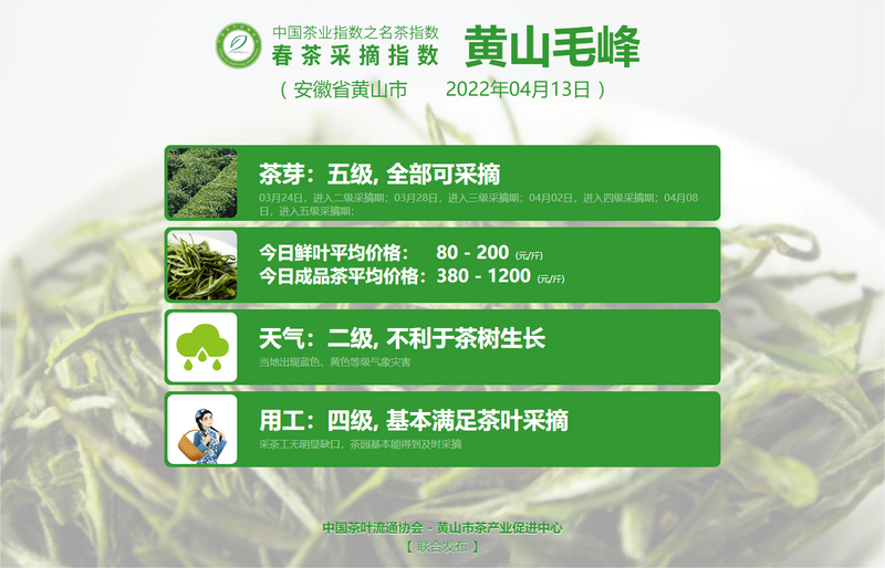 关于春茶采摘指数:4月13日 六安瓜片进入五级采摘期,太平猴魁进入三级采摘期的新闻(5)