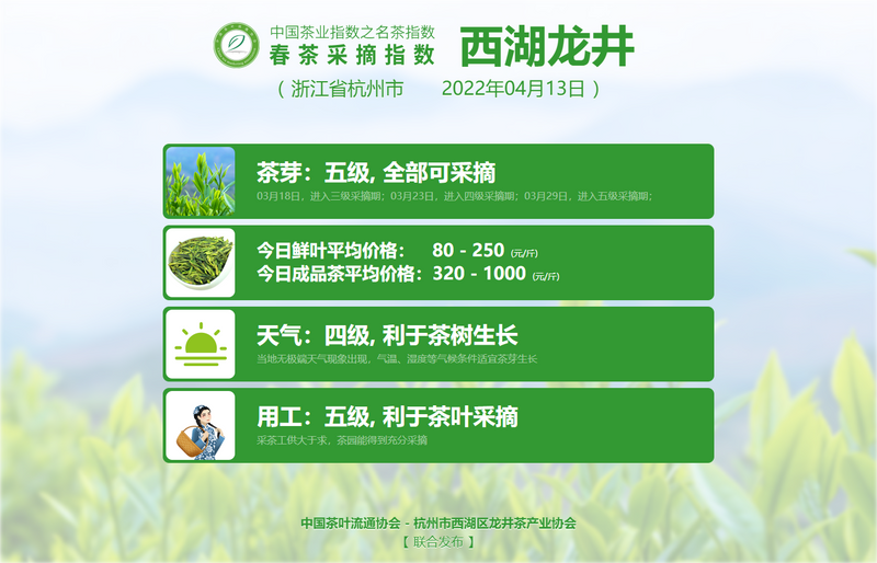 关于春茶采摘指数:4月13日 六安瓜片进入五级采摘期,太平猴魁进入三级采摘期的新闻(8)